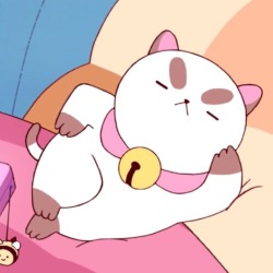 Puppycat